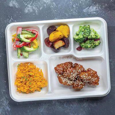 5 Compartment Compostable Tableware Disposable Biodegradable Dinnerware Sugarcane Bagasse Trays photo-3