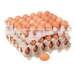 30 Psc Egg Tary Box Making Machine /Waste Paper Making Egg Tray Product Line /egg Tary Packing photo-5
