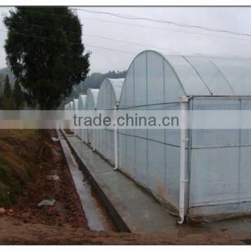 Good Quality Steel Tube Greenhouse photo-2