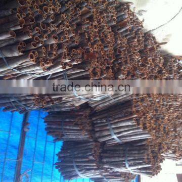 Split, Tube Cinnamon New Drop High Quality