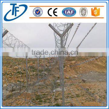 Factory Direct Sale Welded Straight Razor Wire photo-3