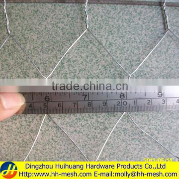 Electric poultry netting-Huihuang Factory-20 YEARS