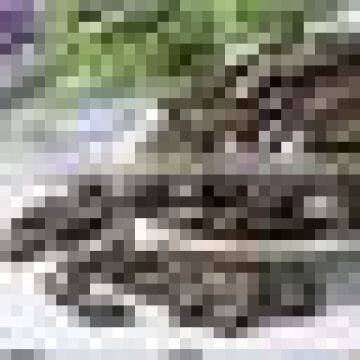 Melon Seeds Processing Machine photo-2