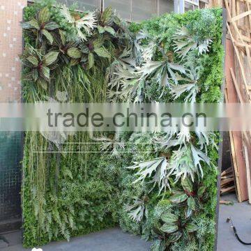 Indoor Artificial Grass Wall , Outdoor Vertical Garden Green Wall Systems photo-4