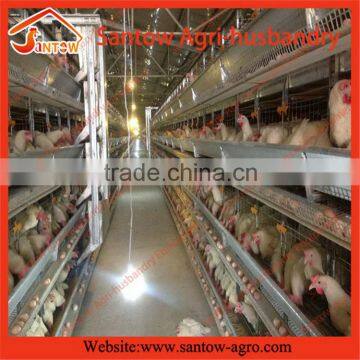 EX-factory price flat pack chicken house