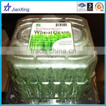 custom plastic packaging box fruit vegetable plastic container