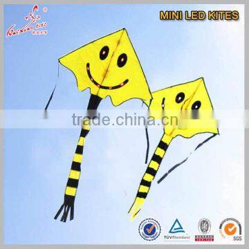 LED Kite for Promotion