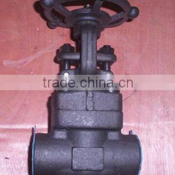 stainless steel screw type globe valve