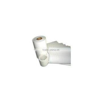 PE Sheet In Roll