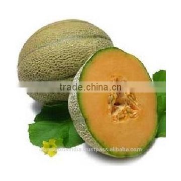 Muskmelon Oil