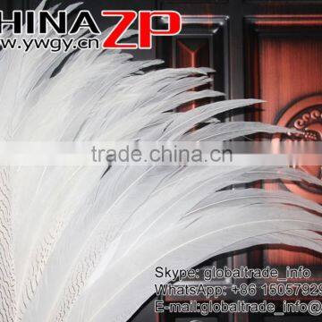Top Supplier CHINAZP Bulk Sale Good Quality Wonderful Bleached White Long Silver Pheasant Tail Feathers Right photo-6
