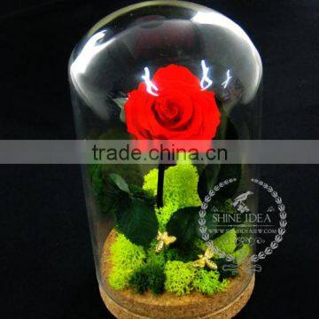 10x18cm The Little Prince Red Rose Dry Preserved Flower Glass Dome Home Decoration Table Centerpiece Indoor Gardening 0120001