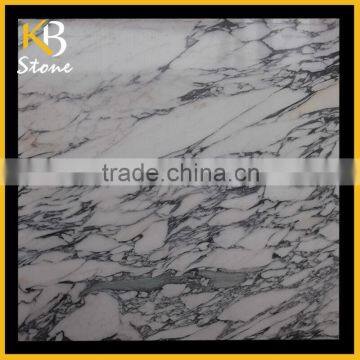 2015 New Design Arabescato Corchia arabescato marble, marble tile,marble price