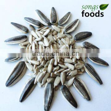 Confectionary Sunflower, Sunflower Kernel