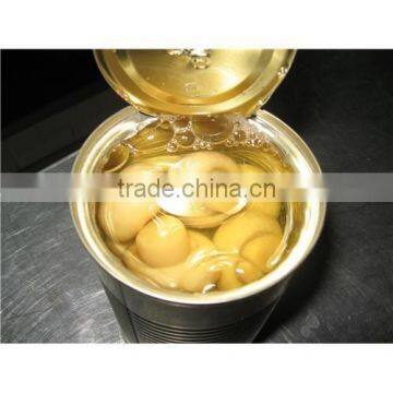 China Canned Mushrooms/canned Champignon/canned Shiitake Mushroom photo-5