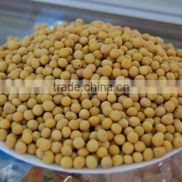 Chinese high protein Soybean soy beans