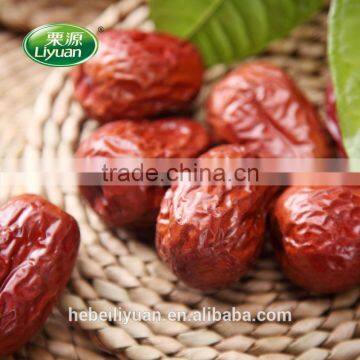 Xinjiang Chinese Dates Jujube