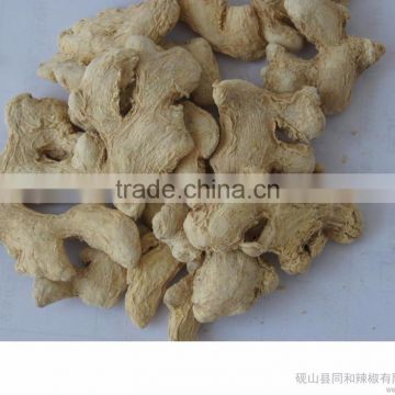 Free Sample Gan Jiang Extract Powder