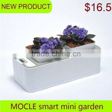 ceramic bonsai pot