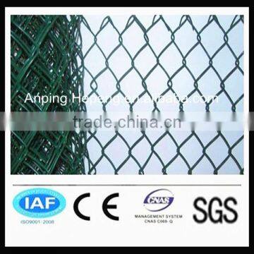 green hexagonal wire net