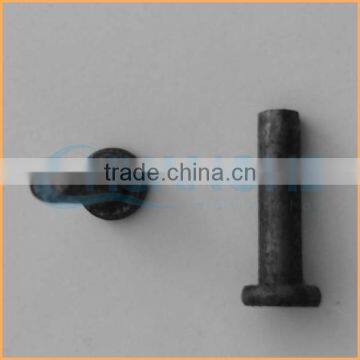 Factory supply best price galvanized flat head long solid rivet