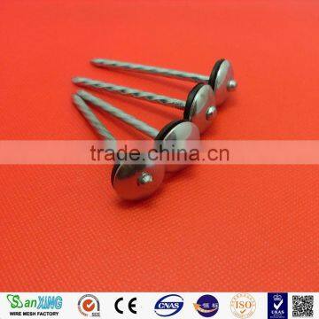 Hot sales polished common nail roofing nails screw shank nail with washer