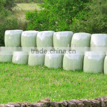 25um Balage Film
