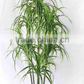 Office decorative green plants