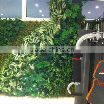 Artificial Green Wall for Gymnasium photo-3