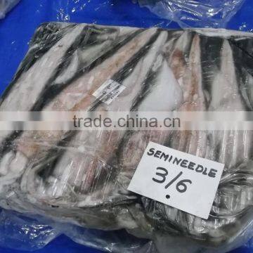 Semi Needle - Doryteuthis Sibogae photo-2