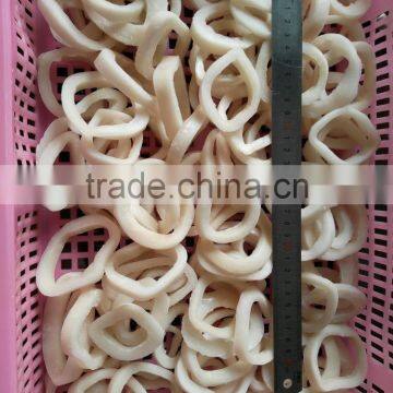 Frozen Squid Ring With Chemical Treated and Skin off photo-2