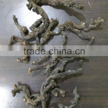 100% Natural Nagarmotha