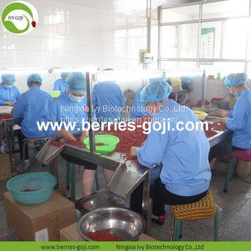 Factory Hot Sale Dried Himalayan Wolfberry photo-4