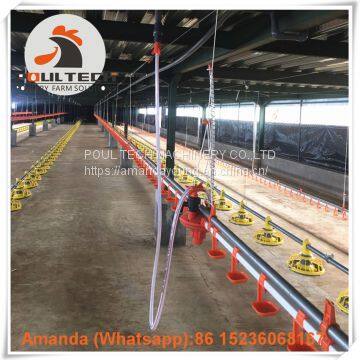 Salvador Poultry Farming Equipment Broiler Floor Raising System & Chicken Deep Litter System with Automatic Drinking& Feeding System in Chicken Coop