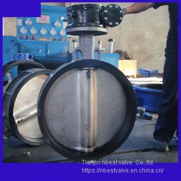 D371XP-10P PN10 SS304 Body SS304 Disc Wafer Butterfly Valve DN350 With Worm Gear photo-2