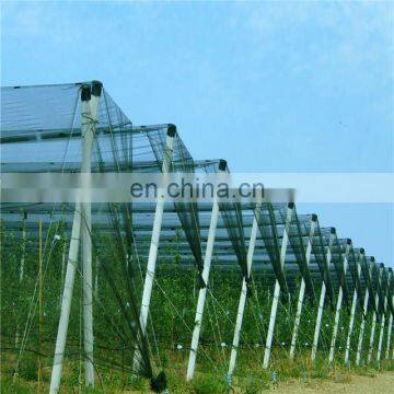 Vegetable and fruit protective netting/horticulture hail guard net