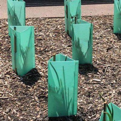 PP Correx Tree Protectors – UV Treated Sapling Guard Tubes / Tree Shelter Panels