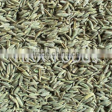 new crops, cumin seeds