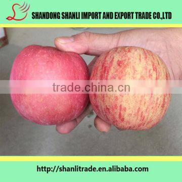 138-150 pcs Red Fuji Apple,delicious apple