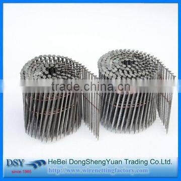 China Alibaba Gold Supplier Extreme Long Carbon Steel Nails