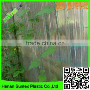 Supper trellis netting climbing plant support net / plant support stick net