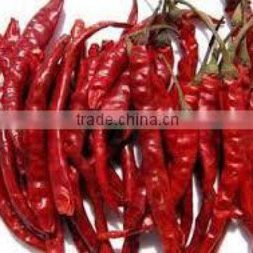 Teja Red chillis