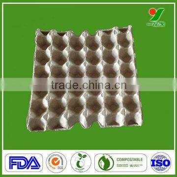 Competitive price 2015 new upgrade polystyrene egg tray