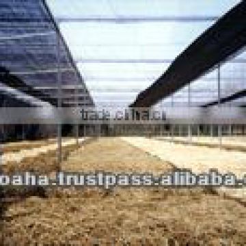 high quality plastic green house net made in Vietnam