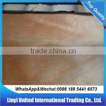 Okoume Face Veneer photo-3