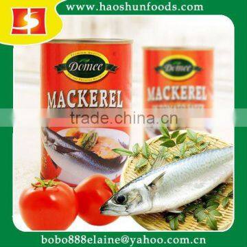 Canned Mackerel Fish In Tomato Sauce