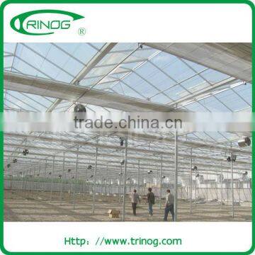 Modern venlo glass greenhouse octagonal greenhouse