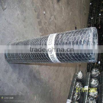 Electro Galvanized Hexagonal Wire Netting 1/2",1" photo-3