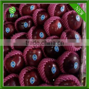 high quality red delicious apples exporter big huaniu apples factory