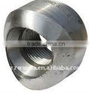 Hot Sale!!! High Quality Alloy Steel Weldolet